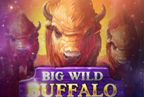 Big Wild Buffalo