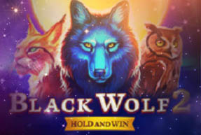 Black Wolf 2